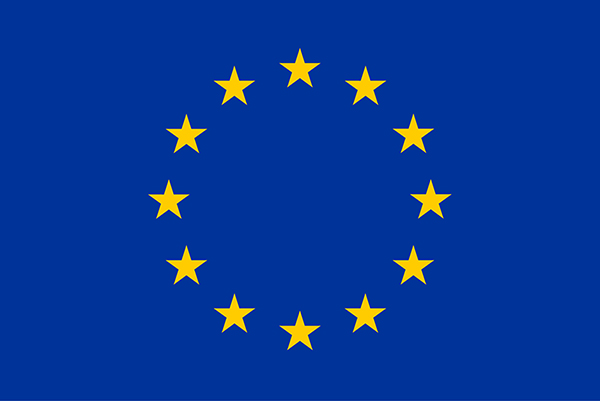 eu icon